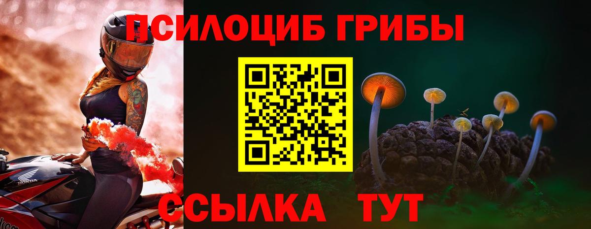 Галлюциногенные грибы Psilocybine cubensis  Вход с VPN  дарнет шоп  Омск 